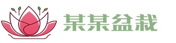华体会(中国)hth·官方网站 - 科技股份有限公司